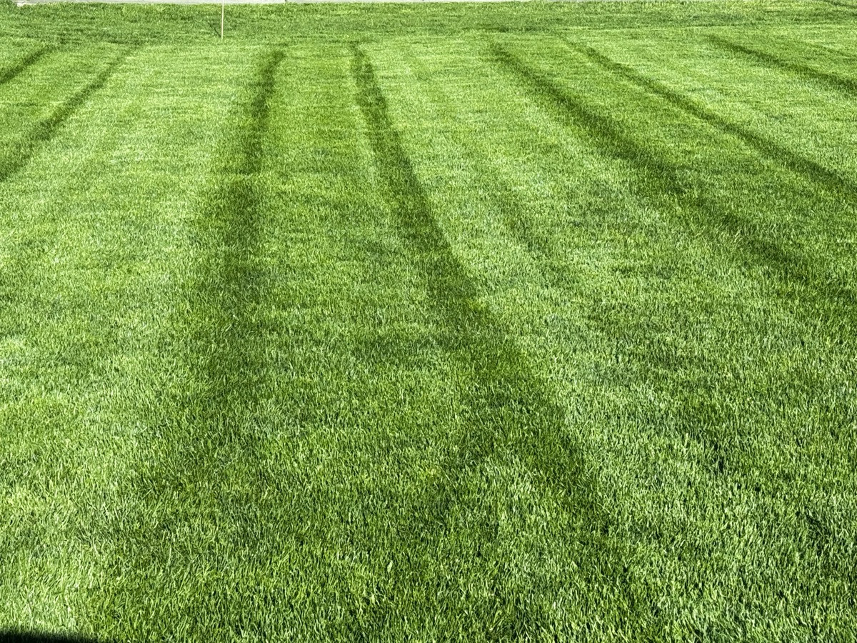 Perfectly striped lawn by the Hazen team